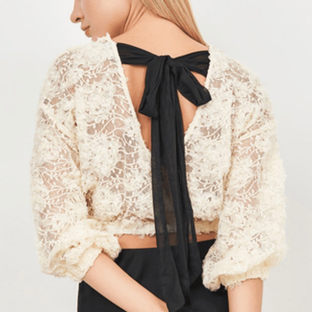 ZARA Ballet lace and organza crop top *RARE*